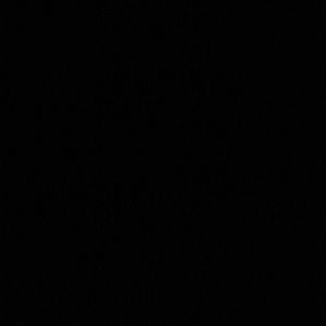 Meet your Posher, Cole